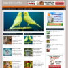Aviary & Bird House Plans Blog